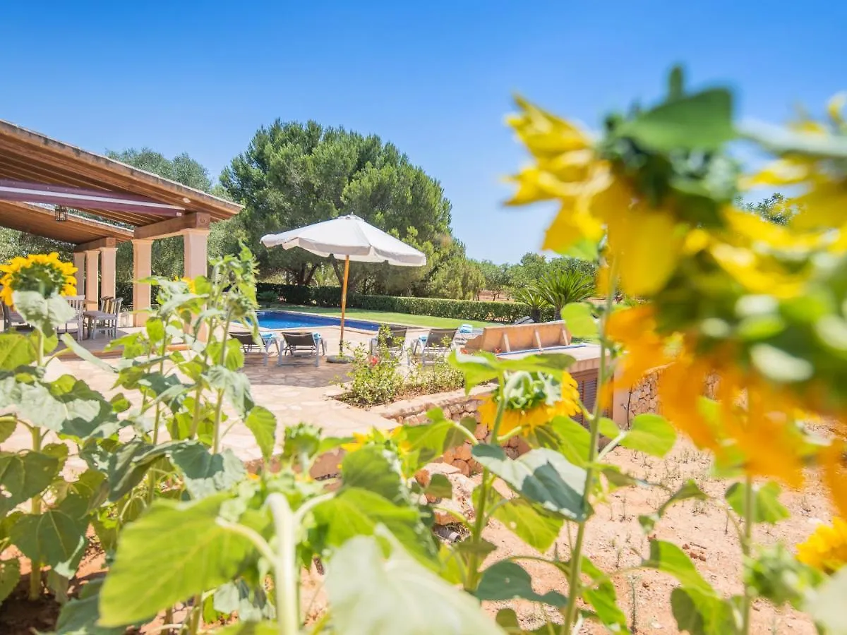 Villa Luxury Finca Ses Quaranta Campos