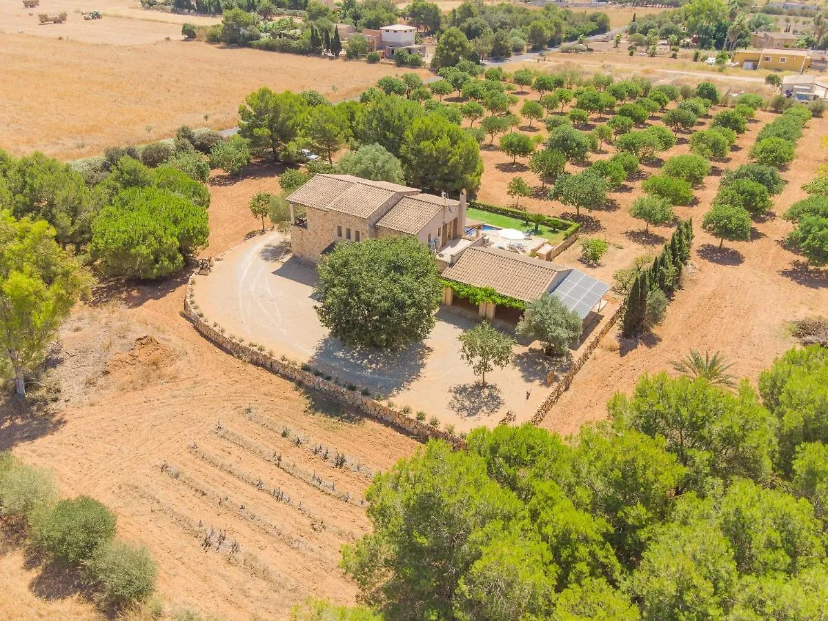 Villa Luxury Finca Ses Quaranta Campos